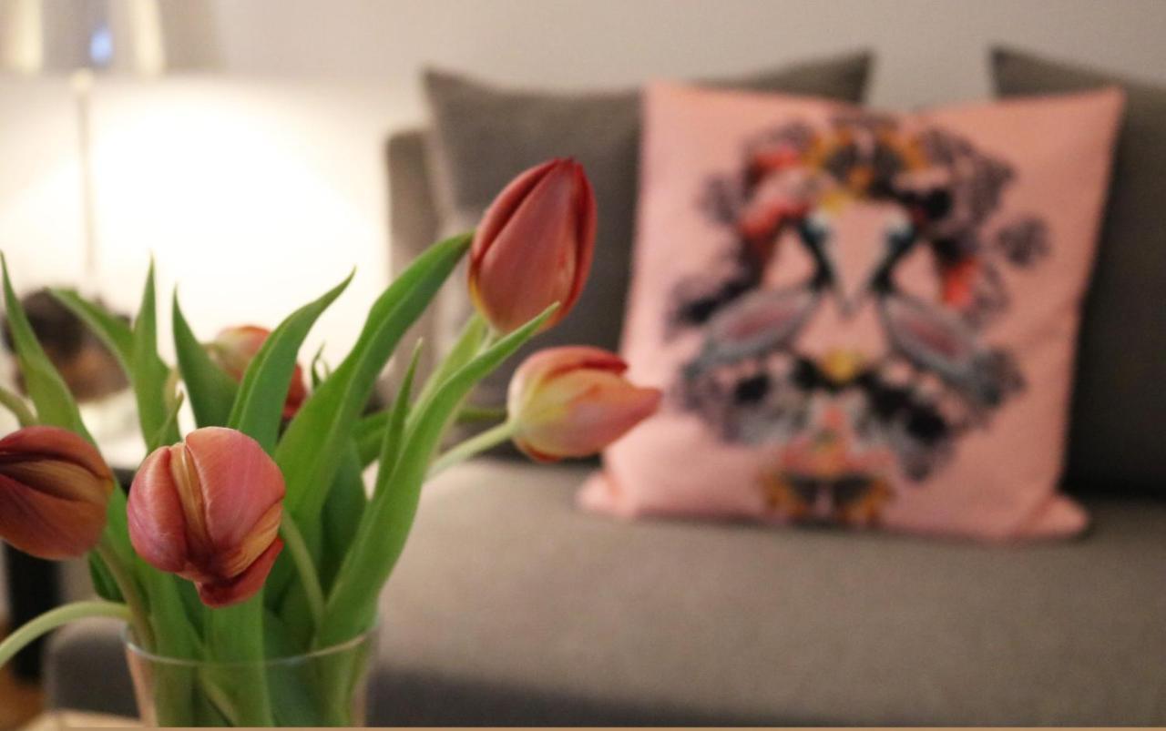Apartament Impresionante Piso En El Centro De Pontevedra Con Terraza Y Parking Zewnętrze zdjęcie