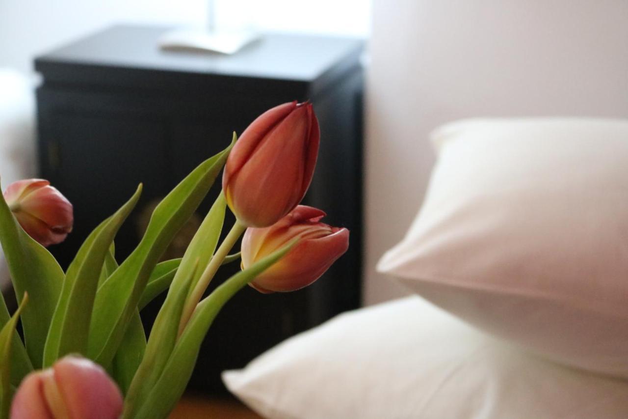 Apartament Impresionante Piso En El Centro De Pontevedra Con Terraza Y Parking Zewnętrze zdjęcie