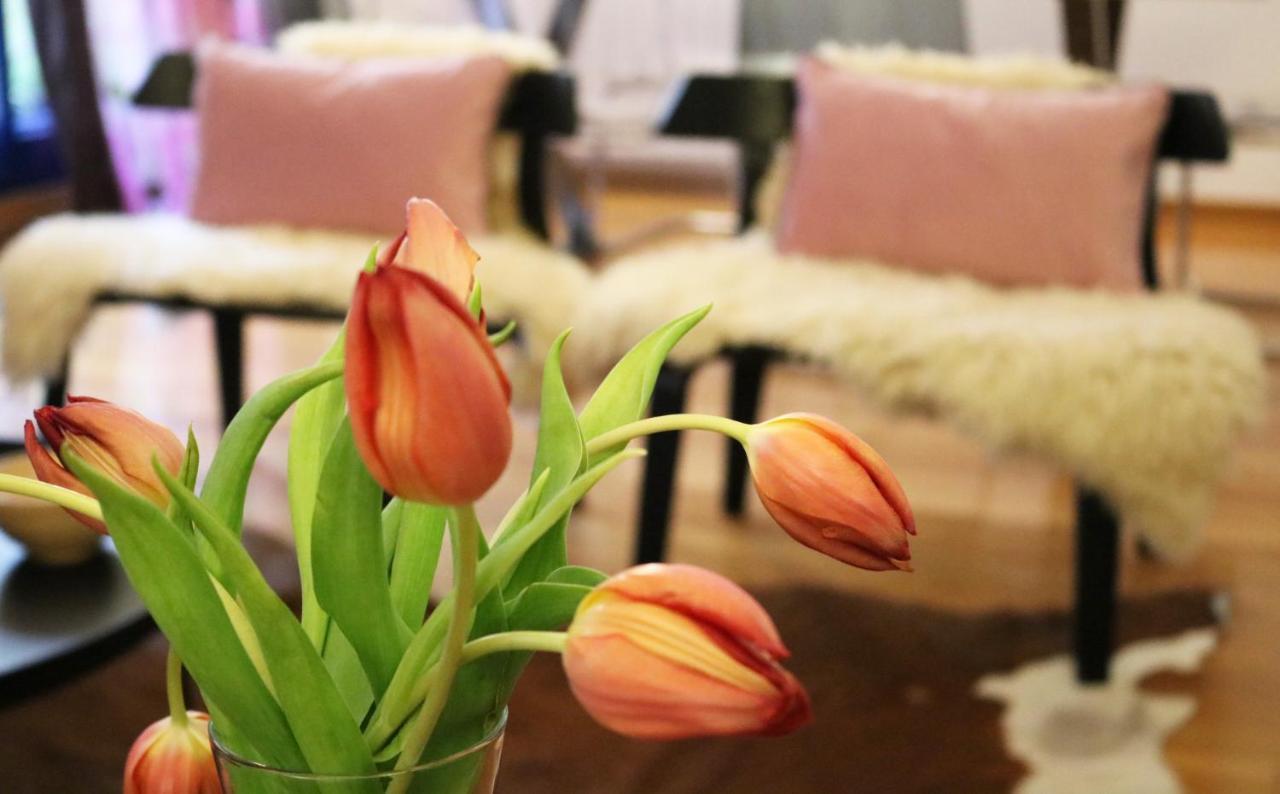 Apartament Impresionante Piso En El Centro De Pontevedra Con Terraza Y Parking Zewnętrze zdjęcie